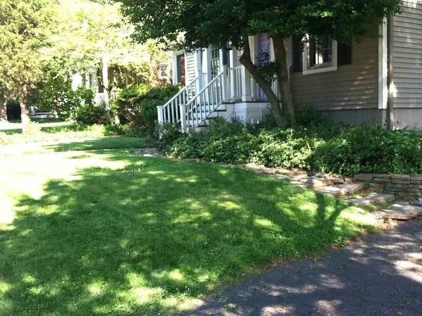 Avant : une pelouse en pente devant une maison, au bord de l’allée